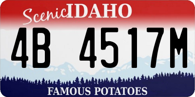 ID license plate 4B4517M