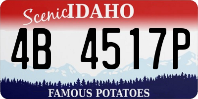 ID license plate 4B4517P