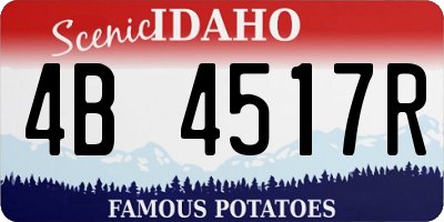 ID license plate 4B4517R