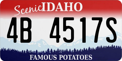 ID license plate 4B4517S