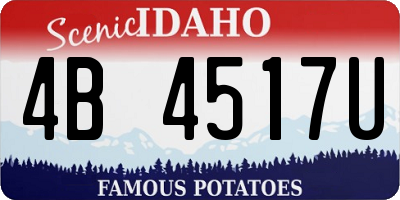 ID license plate 4B4517U