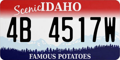 ID license plate 4B4517W