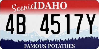 ID license plate 4B4517Y