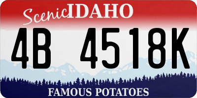 ID license plate 4B4518K