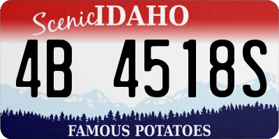 ID license plate 4B4518S