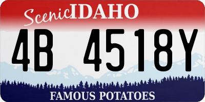 ID license plate 4B4518Y