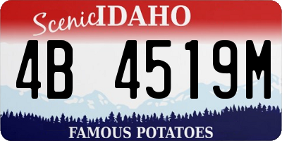 ID license plate 4B4519M