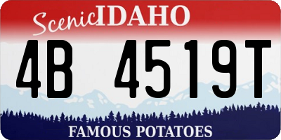 ID license plate 4B4519T