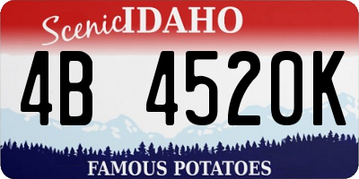 ID license plate 4B4520K