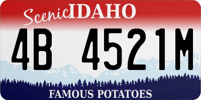 ID license plate 4B4521M