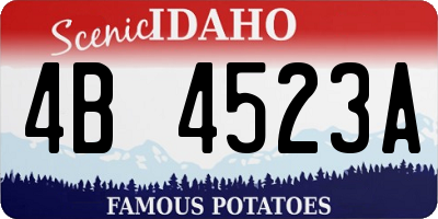 ID license plate 4B4523A