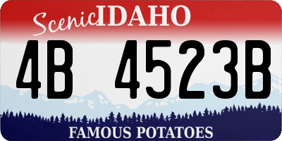 ID license plate 4B4523B