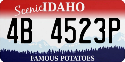 ID license plate 4B4523P