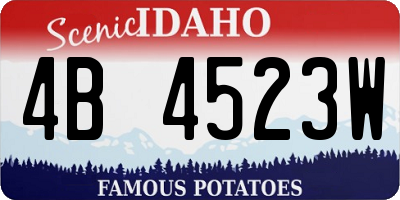 ID license plate 4B4523W