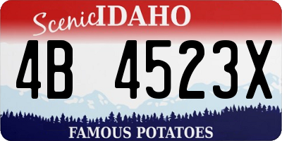 ID license plate 4B4523X
