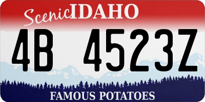 ID license plate 4B4523Z