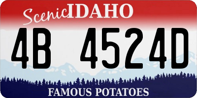 ID license plate 4B4524D