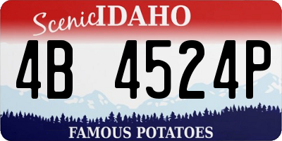 ID license plate 4B4524P