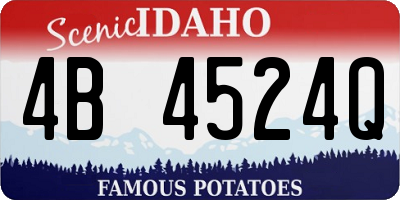 ID license plate 4B4524Q