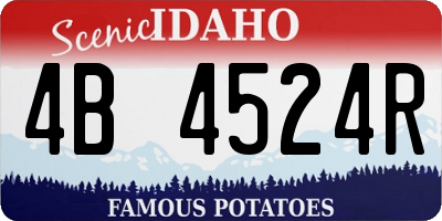 ID license plate 4B4524R