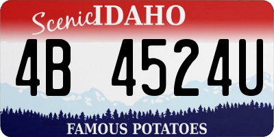 ID license plate 4B4524U