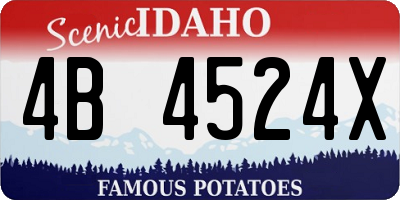 ID license plate 4B4524X