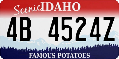 ID license plate 4B4524Z
