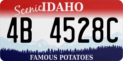 ID license plate 4B4528C