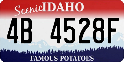 ID license plate 4B4528F