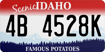 ID license plate 4B4528K