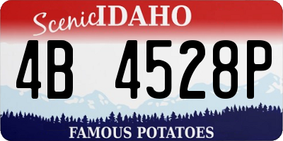 ID license plate 4B4528P