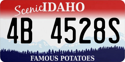 ID license plate 4B4528S