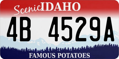 ID license plate 4B4529A