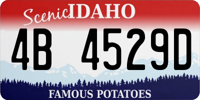 ID license plate 4B4529D