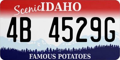 ID license plate 4B4529G