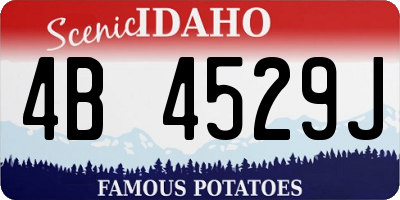 ID license plate 4B4529J