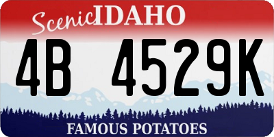 ID license plate 4B4529K