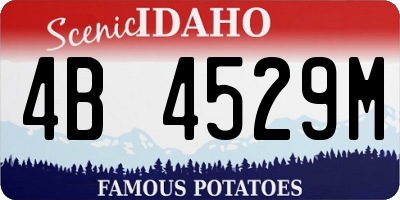 ID license plate 4B4529M