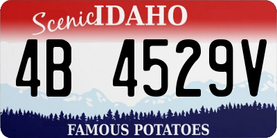 ID license plate 4B4529V