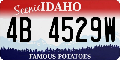 ID license plate 4B4529W