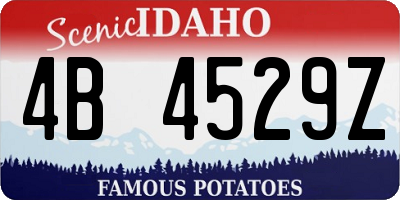 ID license plate 4B4529Z