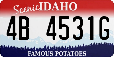 ID license plate 4B4531G