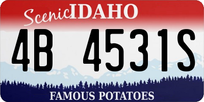ID license plate 4B4531S