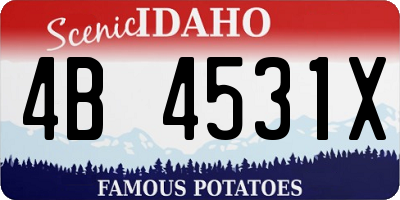 ID license plate 4B4531X