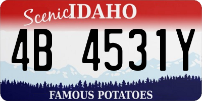 ID license plate 4B4531Y