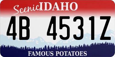 ID license plate 4B4531Z