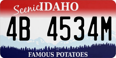 ID license plate 4B4534M