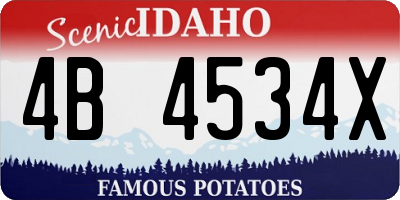 ID license plate 4B4534X