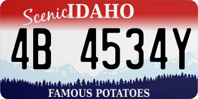 ID license plate 4B4534Y