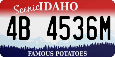 ID license plate 4B4536M